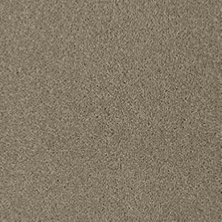 Westex Fine Twist Flyford Flax Carpet