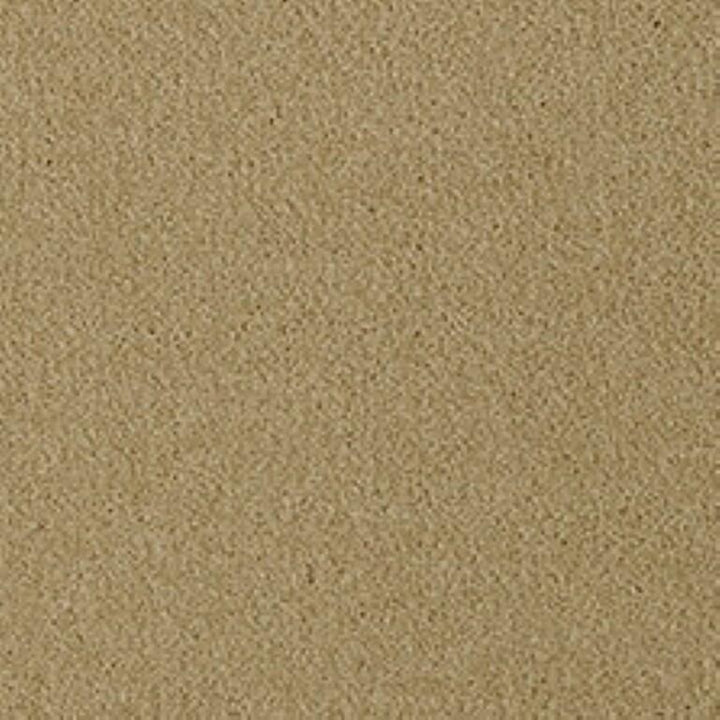 Westex Fine Twist Grafton Gold Carpet