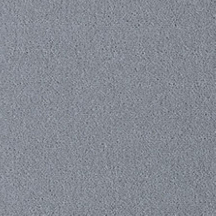 Westex Fine Twist Inkford Inox Carpet