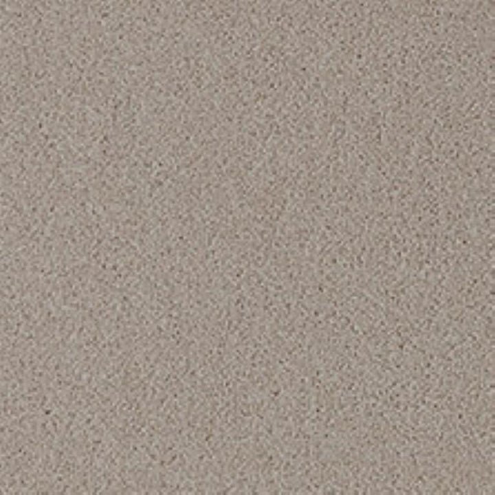 Westex Fine Twist Longdon Lace Carpet