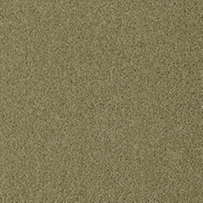 Westex Fine Twist Mayfield Maize Carpet