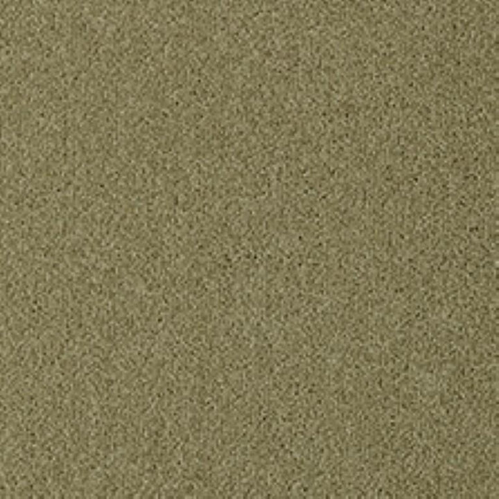 Westex Fine Twist Mayfield Maize Carpet