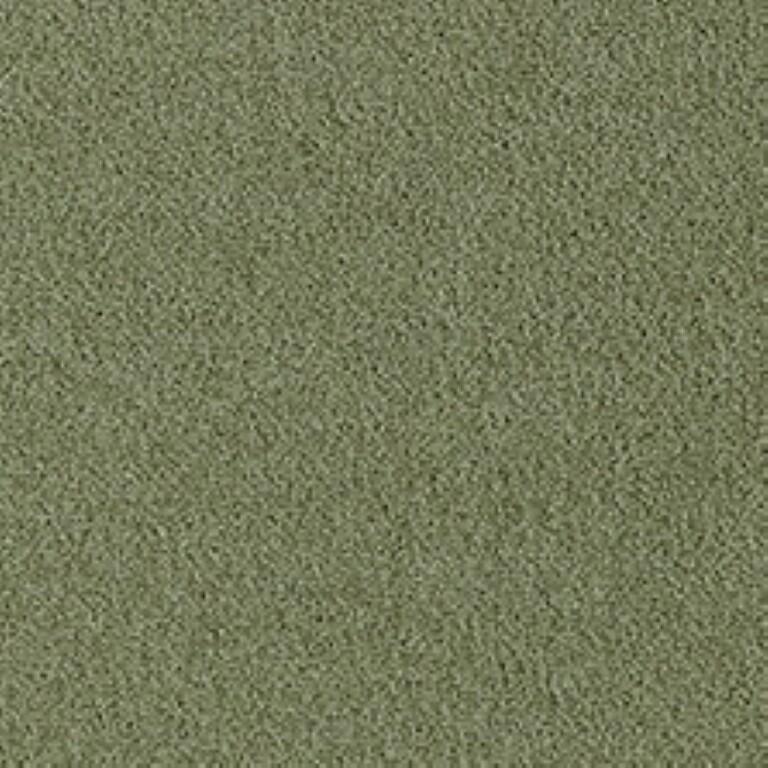 Westex Fine Twist Monkwood Moss Carpet