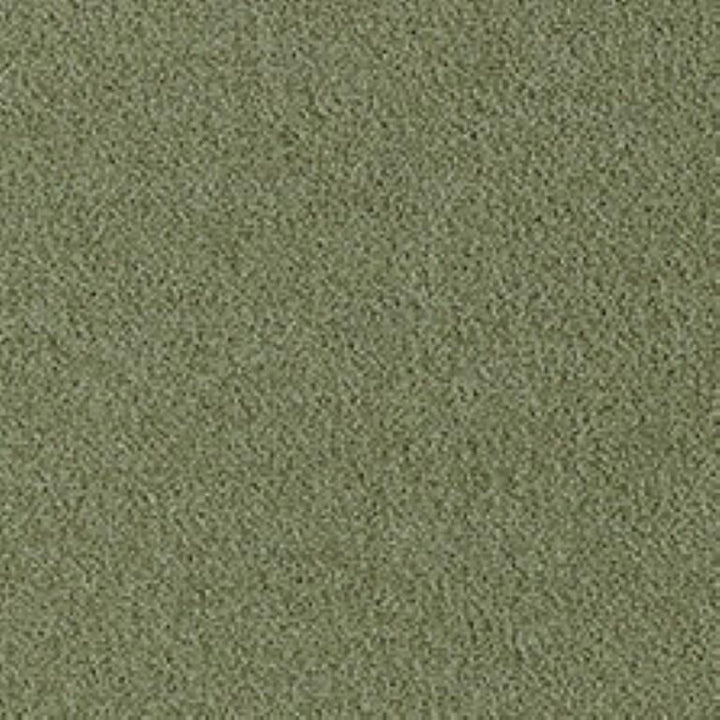 Westex Fine Twist Monkwood Moss Carpet