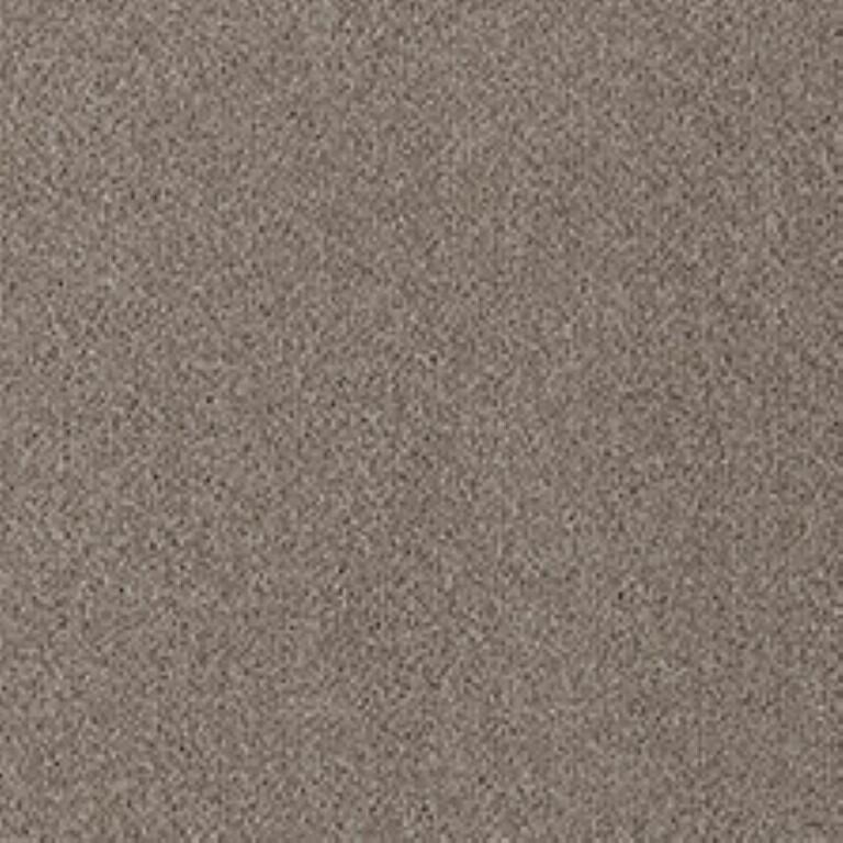 Westex Fine Twist Stoulton Stone Carpet