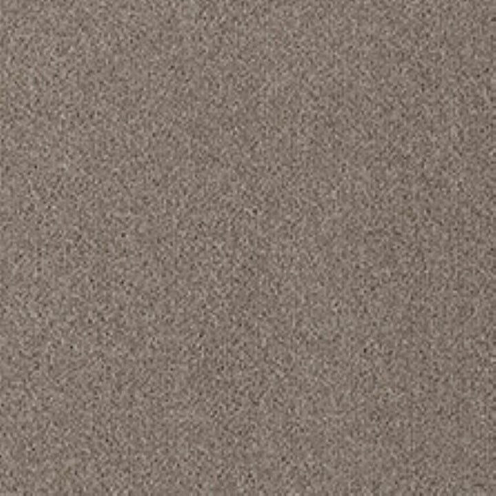 Westex Fine Twist Stoulton Stone Carpet