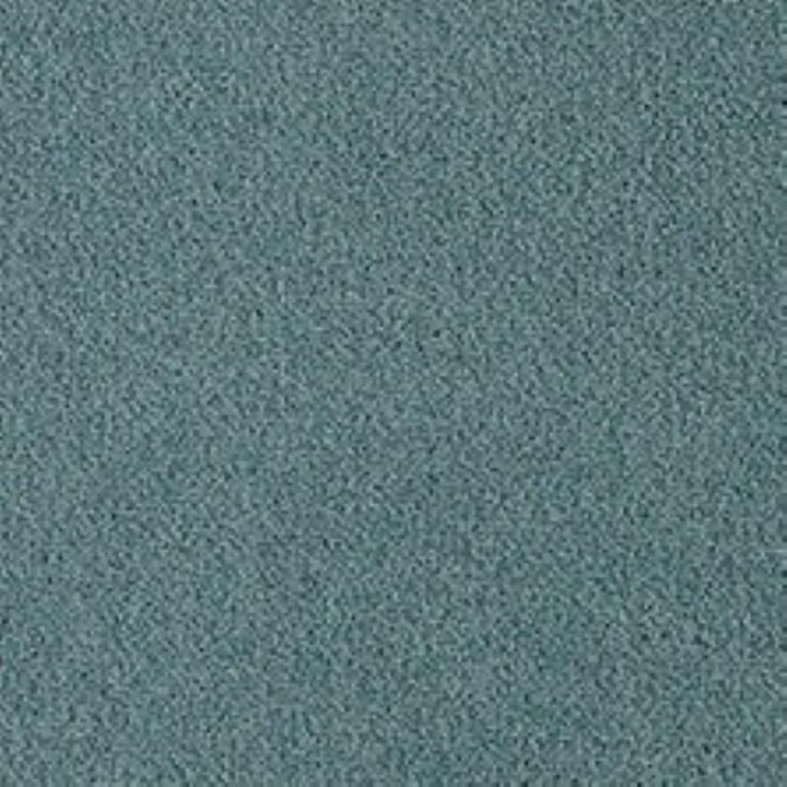 Westex Fine Twist Warndon Water Carpet