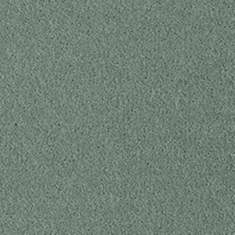 Westex Fine Twist Wolverley Willow Carpet
