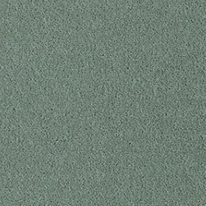 Westex Fine Twist Wolverley Willow Carpet