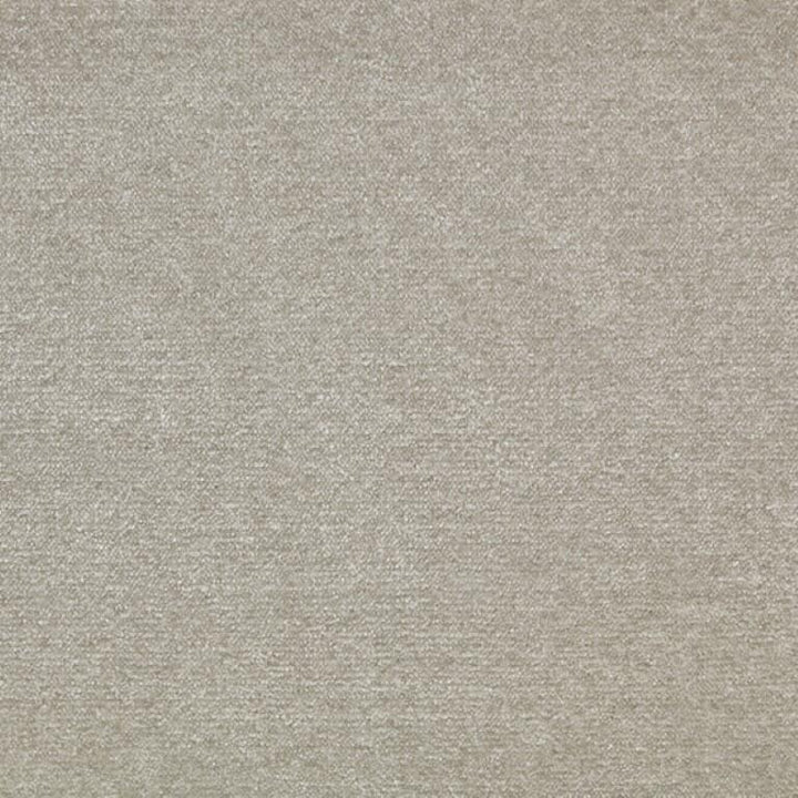 Clarendon Carpets Vogue Velour Dove Tail Carpet