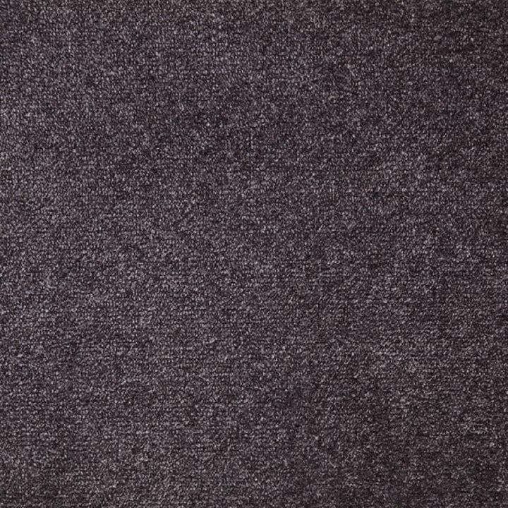 Clarendon Carpets Vogue Velour Fifty Carpet