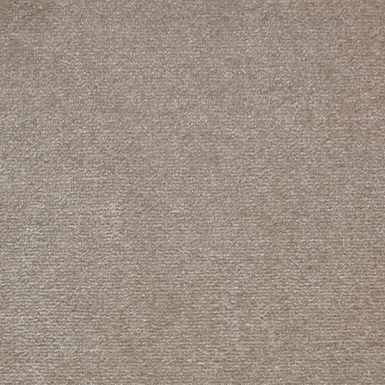 Clarendon Carpets Vogue Velour Seal Carpet