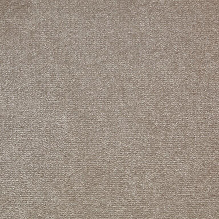 Clarendon Carpets Vogue Velour Seal Carpet