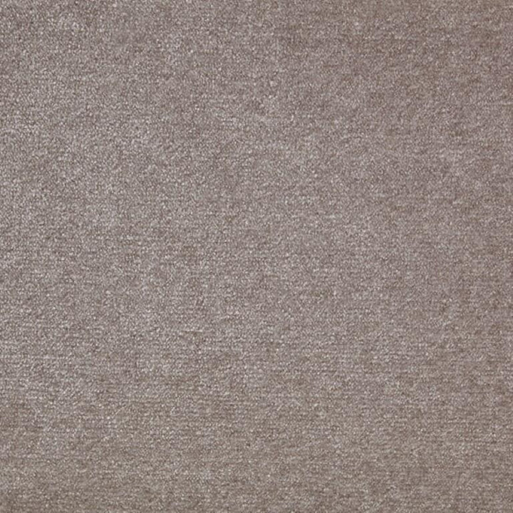 Clarendon Carpets Vogue Velour Skimming Stone Carpet
