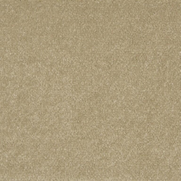 Clarendon Carpets Connoisseur Velvet Cord Carpet