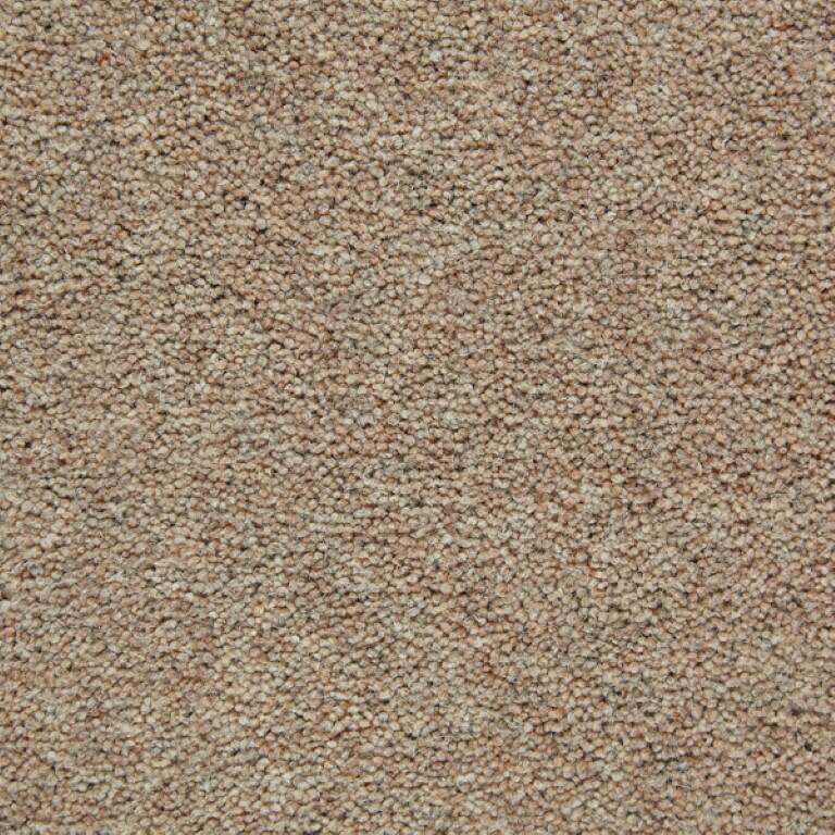 Clarendon Carpets New Kendall Canvas Carpet