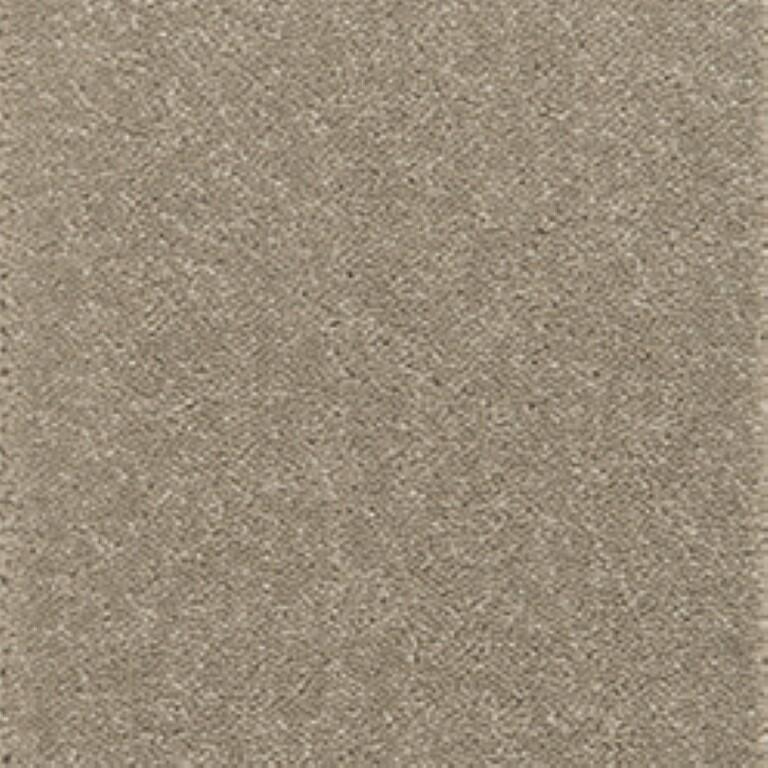 Clarendon Carpets New Elite Twist Mink Carpet