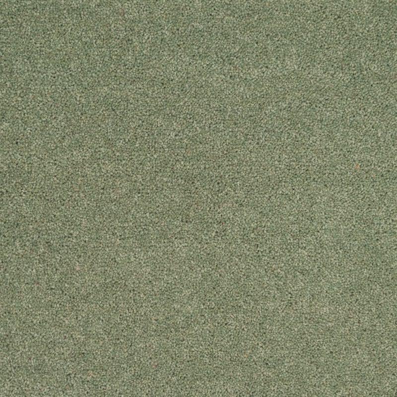 Penthouse Carpets Wentworth 40oz Grange Carpet