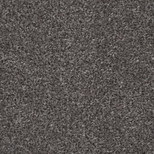 Amalfi 2018 Greige Carpet