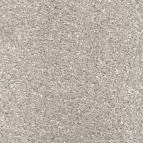 Luxury Elite Greige Carpet