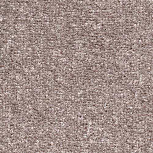 Spotlight Greige Carpet