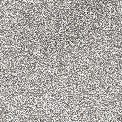 Phoenix Greige Carpet