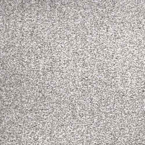 Sacramento Elite 2019 Greige Carpet