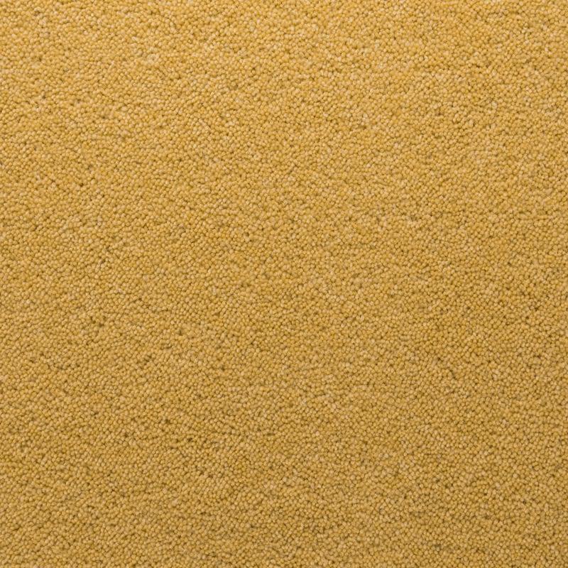 Penthouse Carpets Stateside 50oz Hamilton Carpet