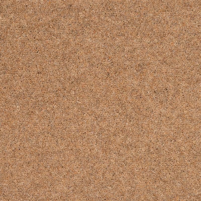 Penthouse Carpets Shoreline 40oz Harbour Carpet