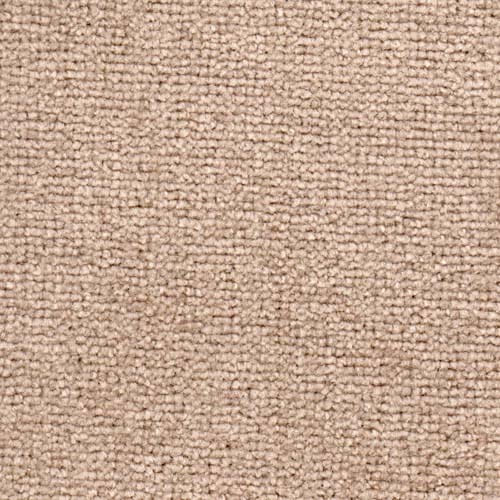 Spotlight Harvest Carpet