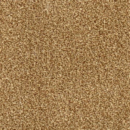 Phoenix Harvest Carpet