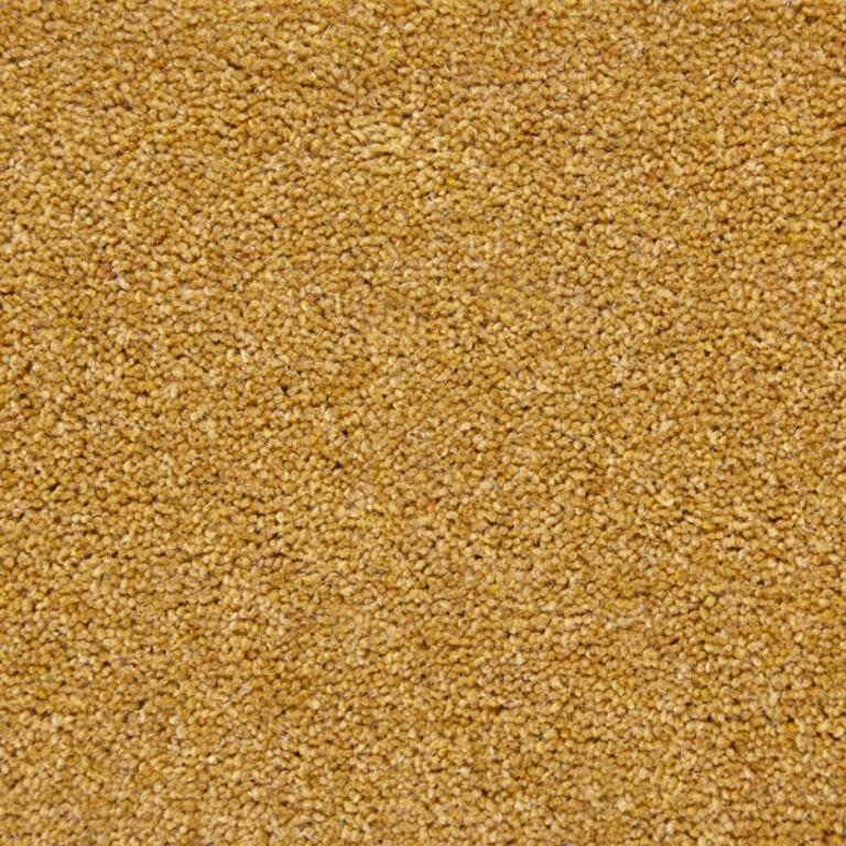 Joseph Hamilton & Seaton Premier Haywood Twist Treasure Carpet