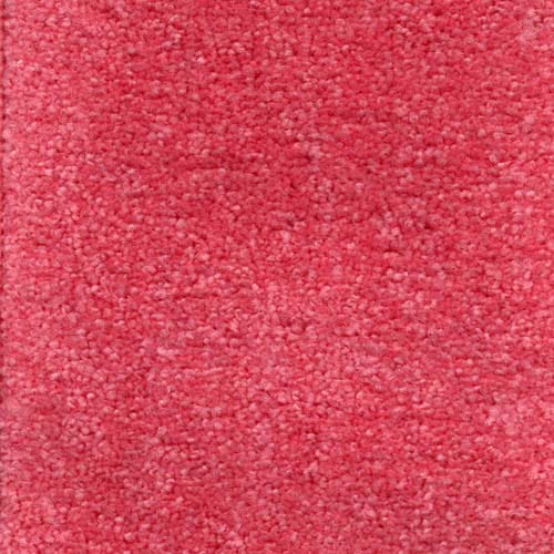 Invicta 2020 Hot Pink Carpet