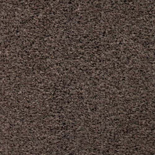 Easy Living 2020 Iron Carpet