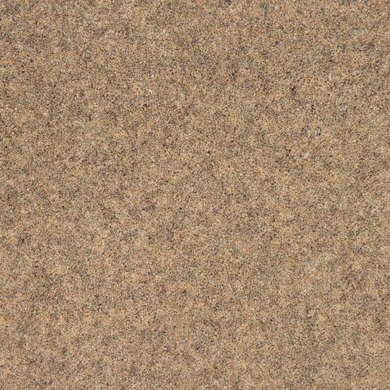 Penthouse Carpets Springtime 40oz Jacob Carpet