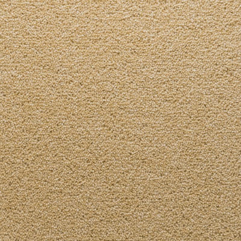 Penthouse Carpets Stateside 50oz Jersey Carpet