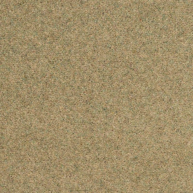 Penthouse Carpets Shoreline 40oz Kelp Carpet