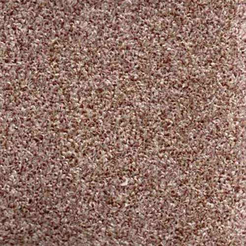 Wexford 2020 Latte Carpet