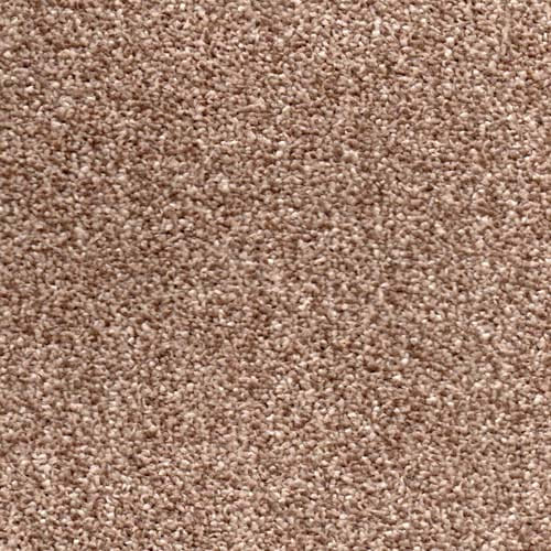 Cornwall Latte Carpet