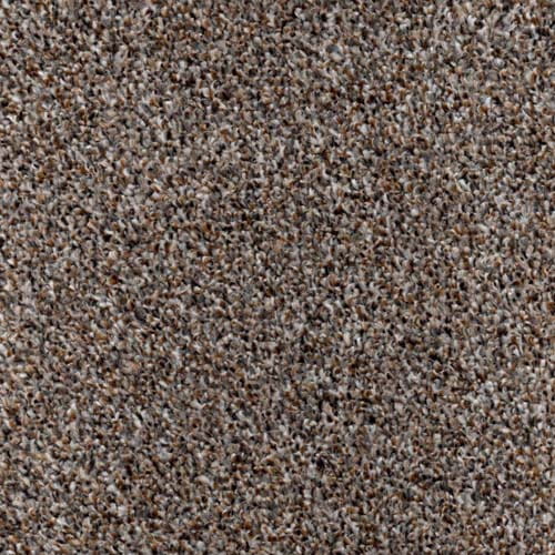 Modern Living Latte Carpet