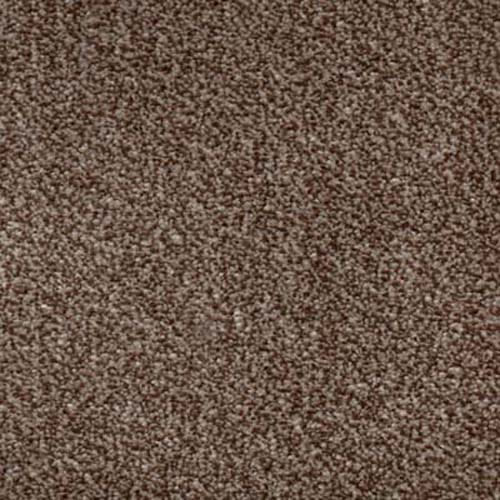 Gamma Latte Carpet
