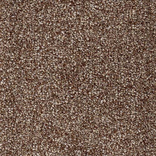 York Latte Carpet