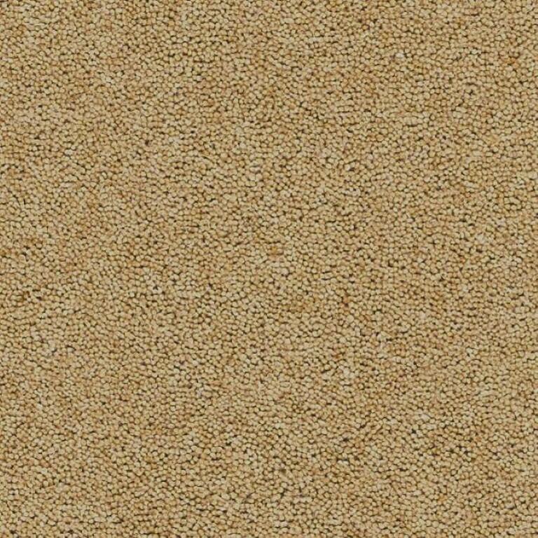Brockway Carpets Lingdale Braidley Carpet