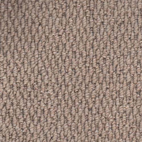 Regatta 2026 Light Beige Carpet