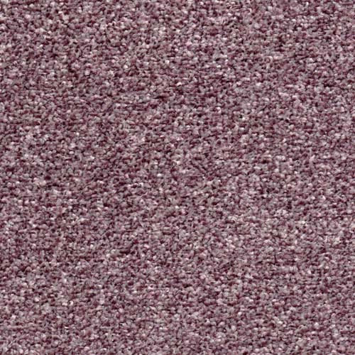 Cumbria Elite Lilac Carpet
