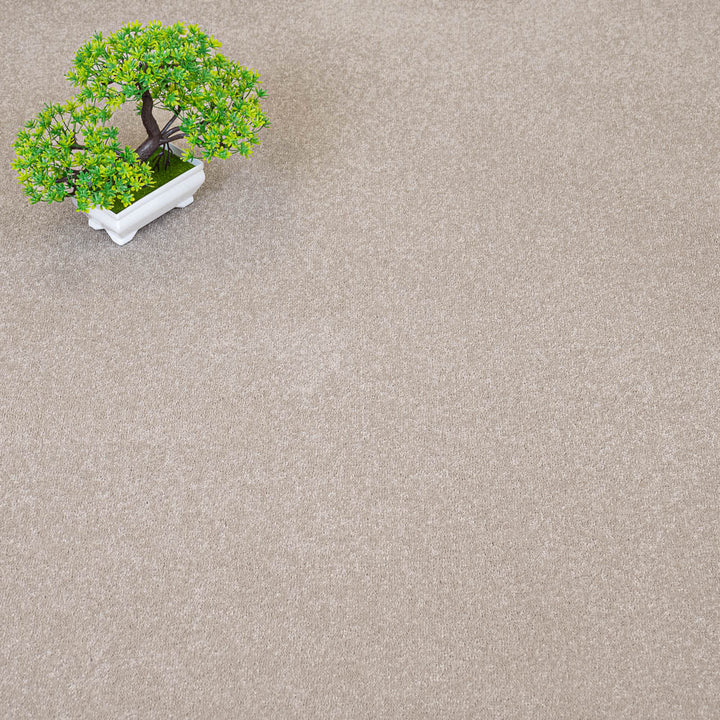 Bellevue Linen Beige 72 Carpet