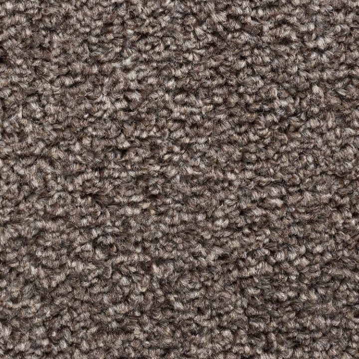 Condor Carpets Malta 297 Bramble Carpet