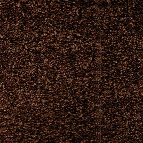 San Diego 2020 Maple Carpet