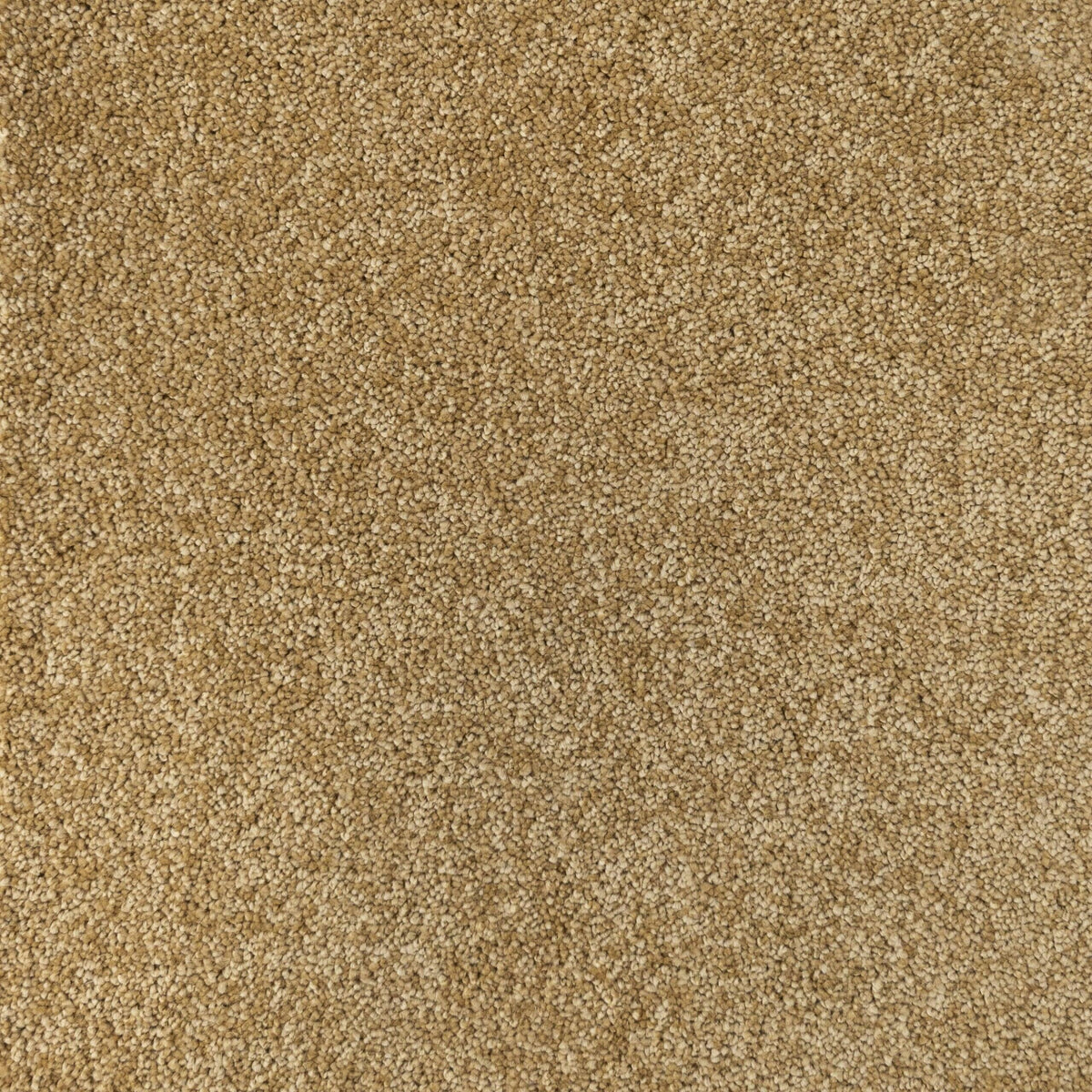 Penthouse Carpets Amorosa Harmony Carpet