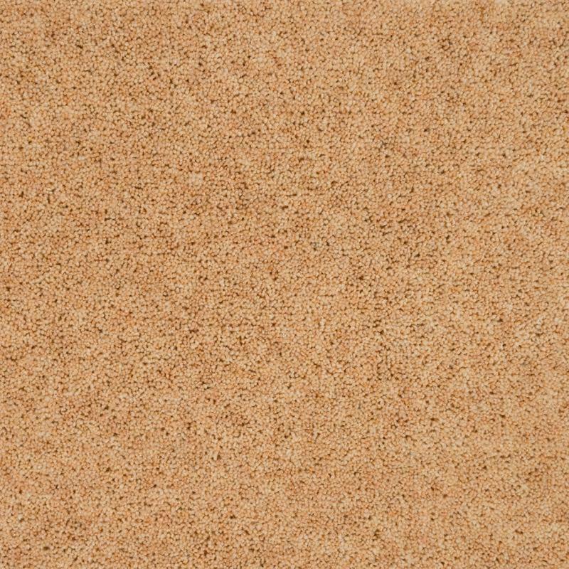 Penthouse Carpets Super Maxim 50oz Meadowsweet Carpet